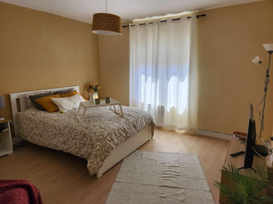 Moderno Apartamento Cerca Del Centro En Leão Exterior foto